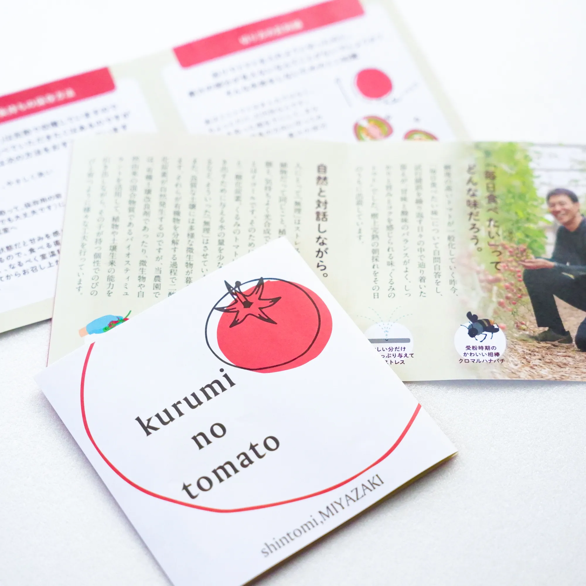 青木農園 くるみのトマト <br>リーフレット